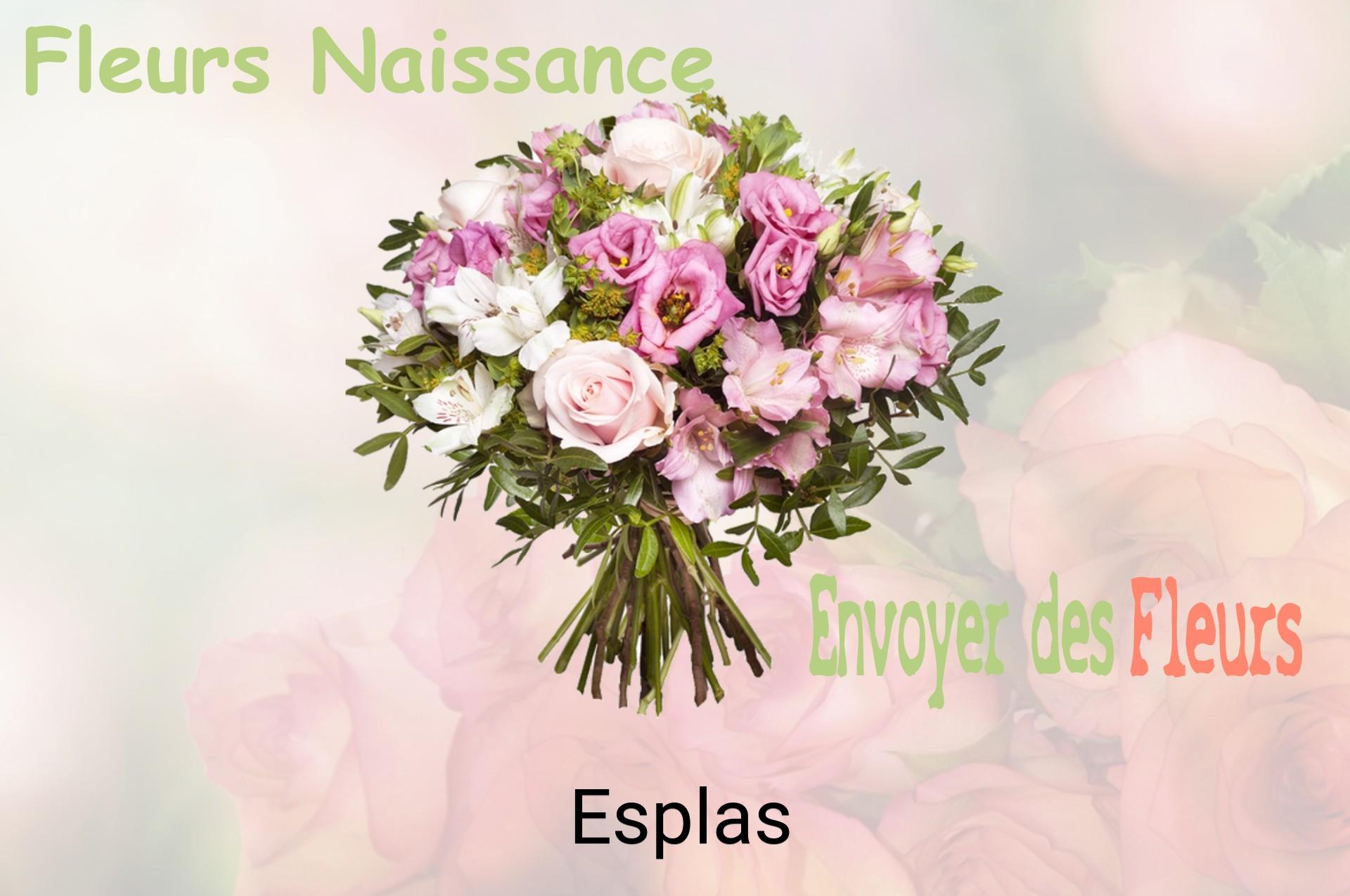 Bouquet de fleurs de naissance livré à Esplas