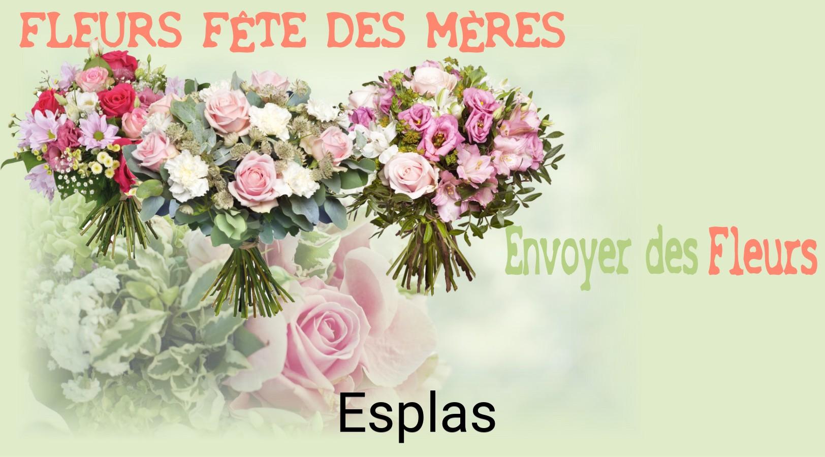 Bouquet de Fête des Mères livré à Esplas